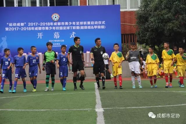 两万颗废弃网球“变身”球场——体育圈的这股“绿”色新潮
